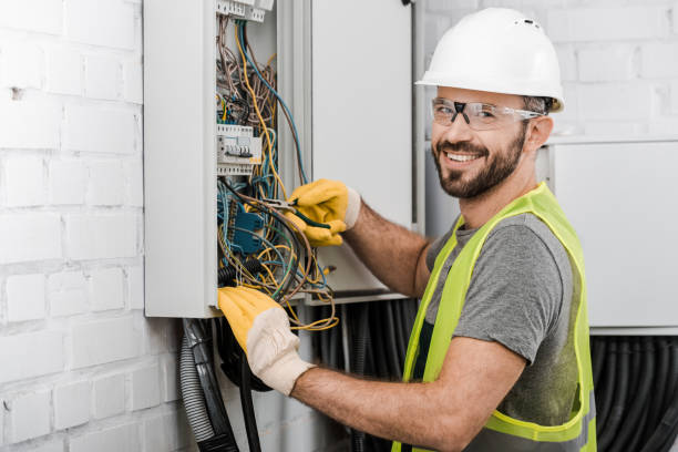 Best Ceiling Fan Installation Electrician  in Hasley Nyon, CA
